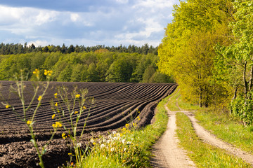 Rural spring landscape with field and hiking trail, Lüneburger Heide, Germany.