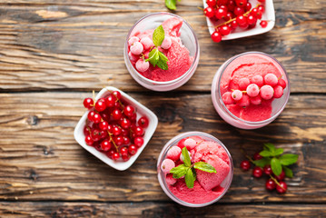 Frozen homade sorbet with red currant
