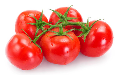 Fresh tomato on white background