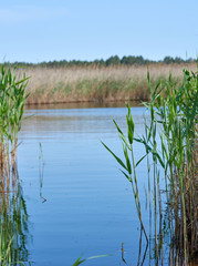 therapeutic lake with iodine and minerals in the middle of the wild steppe