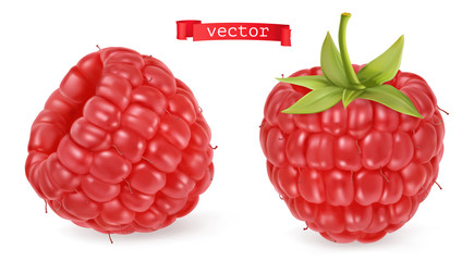 Red raspberry vectorized image. Fresh fruit. 3d realistic vector icon
