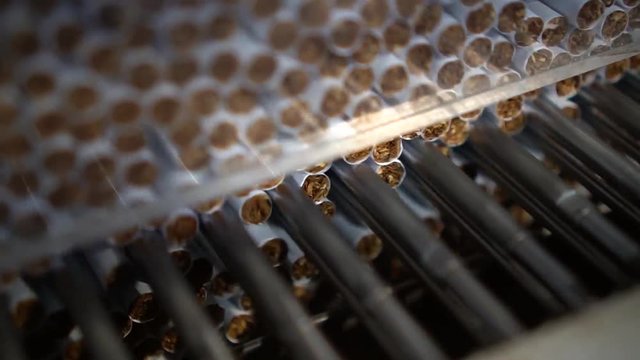 Cigarettes production line in a tobacco inductry factory
