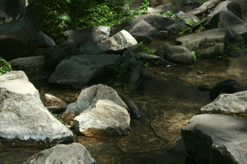 River flowing between the rocks