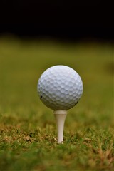 Golf ball on white tee closeup