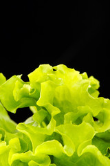 Fototapeta premium Fresh green salad isolated on black background
