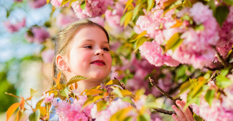 Fototapeta premium small girl in spring flower bloom. blossom smell, allergy. skincare spa. Natural cosmetics for skin. happy girl in cherry flower. Sakura blooming. summer holiday. Childhood beauty. Greeting summer