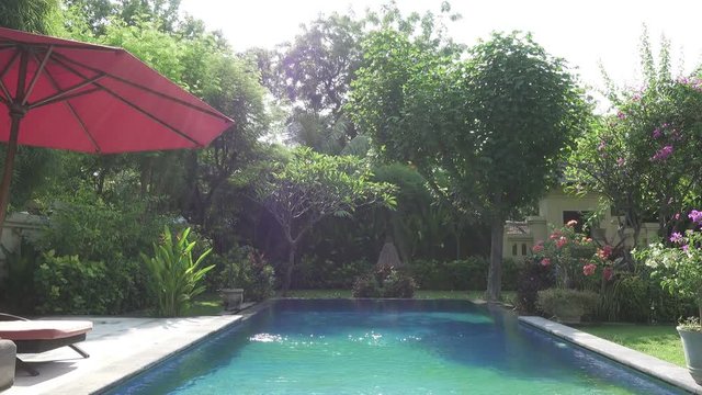 The camera moves on a tropical garden with the pool lengthways the blossoming trees. Bali. Indonesia.