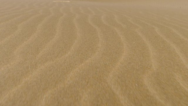 dunes de sable, marcher dans le sable