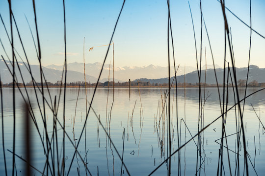 Alpenpanorama Bodensee