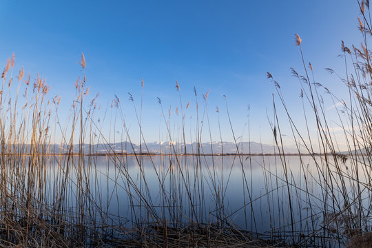 Naturschutzgebiet Bodensee