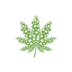 Cannabis marijuana hemp green leaf flat symbol or logo