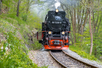 Eisenbahnromantik im Selketal Harzer Schmalspurbahnen im Harz
