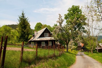 Obraz premium Old wooden house with garden.