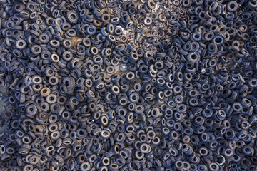 Aerial view of tire landfill. Environmental disaster.