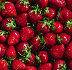 Delicious fresh, ripe strawberries with tails, texture of large strawberries