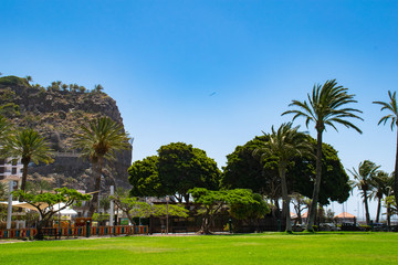 Fototapeta na wymiar Travel to La Gomera island, Canary Islands, Spain. Parque de la torre del Conde