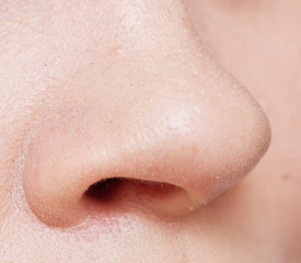 Fototapeta premium Nose