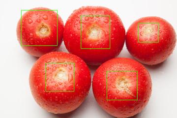 Tomate, rojo, sano con gotas de agua sobre fondo blanco