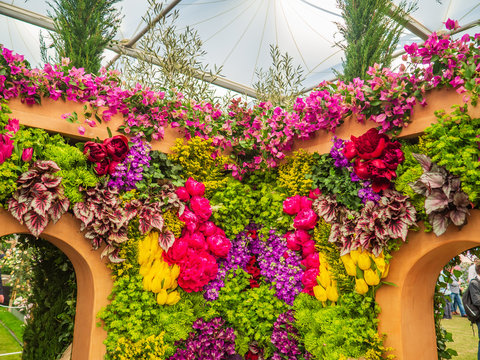 Beautiful variegated compositions of plants and flowers.