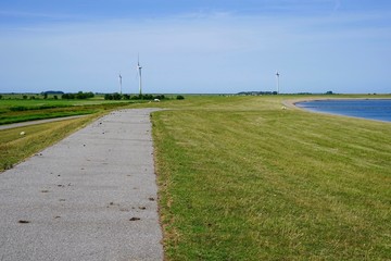 Deichlandschaft auf Föhr