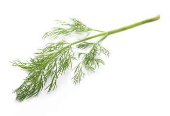 Fresh green dill isolated on white background