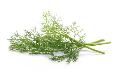 Fresh green dill isolated on white background