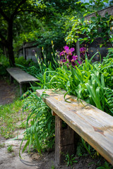 Lonely wooden bench and the flowers in park