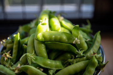 自家菜園の収穫　サヤエンドウ