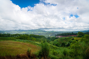 Naklejka premium Blue sky high peak mountains fog hills mist scenery national park views at Phu Tub Berk, Khao Koh, Phetchabun Province, Thailand