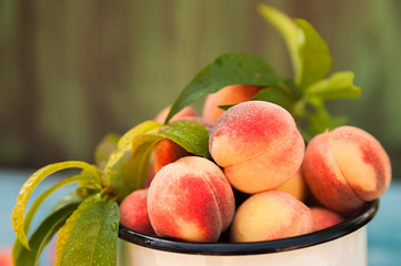 Homemade peaches with leaves in an enamelled white mug close-up and copy space. Beautiful juicy ripe peaches.