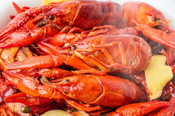 Fresh red delicious braised crayfish close-up