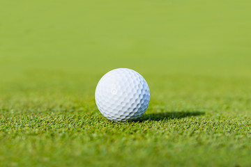 新緑のグリーンのゴルフ場