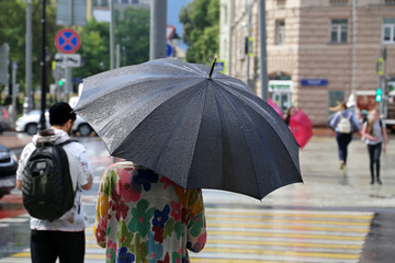 Rain in a city, woman with black umbrella standing on a street before the pedestrian crossing. Rainy weather, summer storm