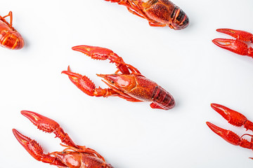 Full screen bright red delicious crayfish background poster