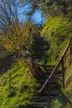 Treppe in der Natur