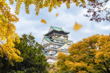 Osaka castle with yellow ginkgo leaves is falling in autumn