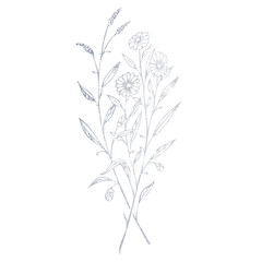 A hand-drawn silver flower bouquet. Illustration of a flower on a white background.