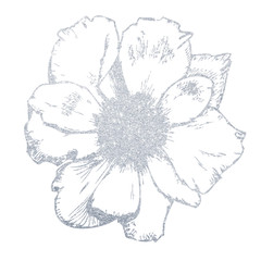 Hand-drawn silver flower. Illustration of a flower on a white background