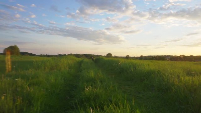 summer pastime in the countryside.typical summer rural landscape.walk on a green field on a warm summer evening.first person view