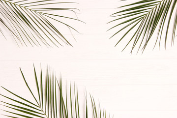 palm leaves on a wooden background with free space for text. a draft for a design. minimalism, creativity. flatlay