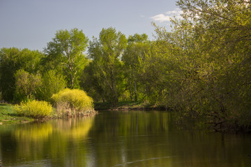  A beautiful, quiet river flows among the trees.