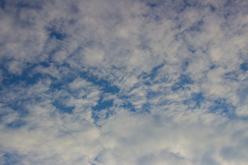 Beautiful photo of clouds in the blue sky, A flock of little clouds