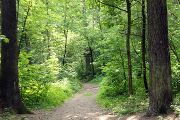 Fototapeta premium beautiful flattering terrain in our region