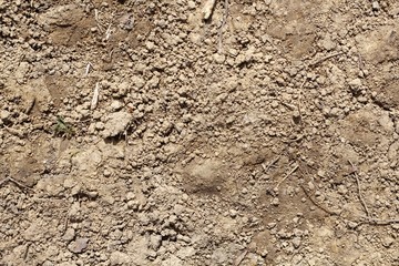 A close view of the dirt ground surface texture.