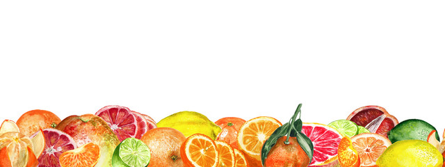 Citrus border watercolor