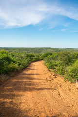 Countryside road in Oeiras, Piaui state, Brazil - Sertao landscape