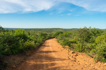 Fototapeta na wymiar Countryside road in Oeiras, Piaui state, Brazil - Sertao landscape