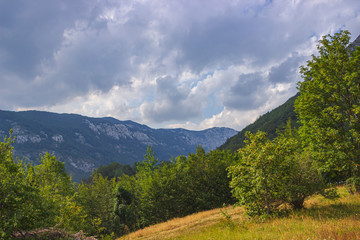 Mountain landscape in the summer cloudy day. Soft focus and blurred background.