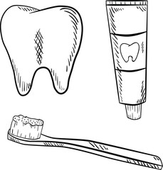 Vector contour illustration with tooth, toothpaste and toothbrush on white background. Sketch and doodle style. Postcard, logo and coloring book idea.