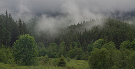 Hiking with a tent through Petros to Hoverla, Lake Nesamovite, Mount Pop Ivan Observatory.